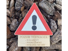 Pozor Teenager - menovka na dvere