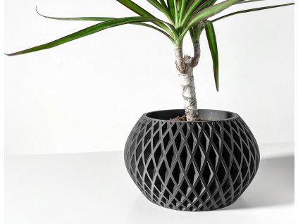 gisarpot