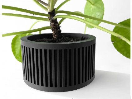 paxonpot