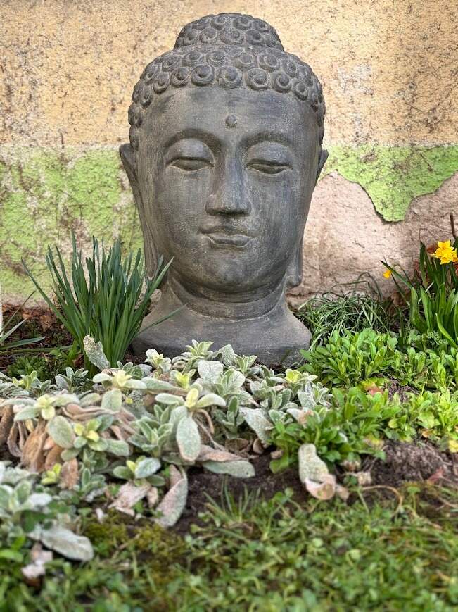 budhha hlava