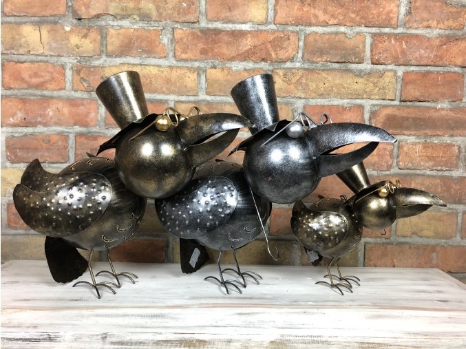 Pták loskuták (Velikost Velký zlatý)