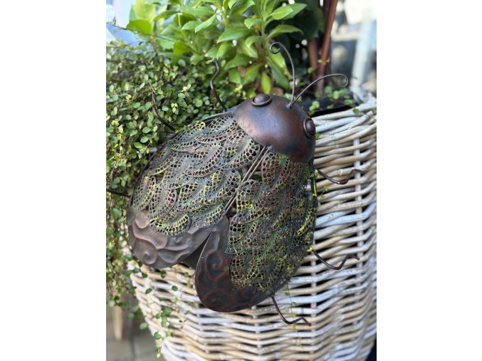 kovová dekorace brouka