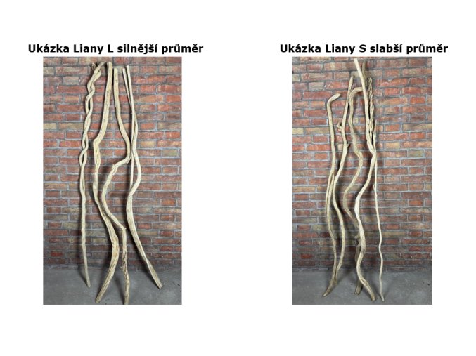 Snímek obrazovky 2025 10 01 110251