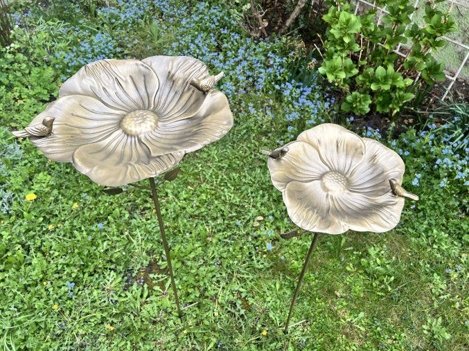 pítko pro ptáčky květina