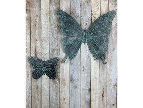 motýli na úvod