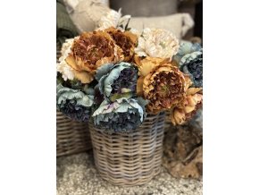 Pivoňky – krása, která neuvadne