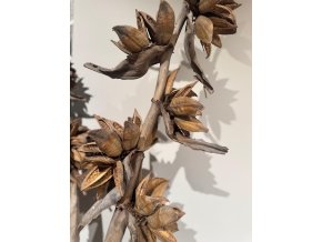 3d17ec08 5924 4028 b294 412c5ae49467