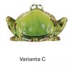 varianta C