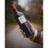 Grounded Wine Co. 2016 Cabernet Sauvignon, Napa Valley product image 14 medium