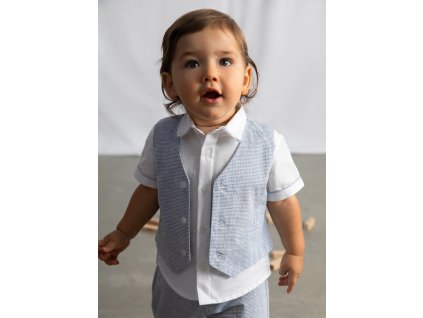 Vesta Mayoral - 2601312015