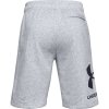 Kraťasy UA Rival Big Logo-GRY