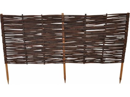 Plůtek vrbový výška 40 cm