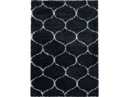 Kusový koberec Salsa Shaggy 3201 anthrazit (Rozměry koberců 60x110)