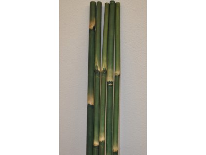 Bambusová tyč 3 - 4 cm, délka 2 metry - barvená zelená