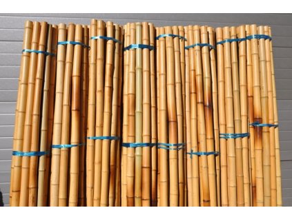 Bambusová tyč průměr 5-6 cm, délka 2 metry