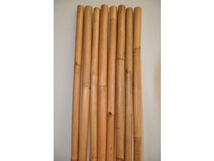 Bambusová tyč 3- 4 cm, délka 2 metry - lakovaná medová