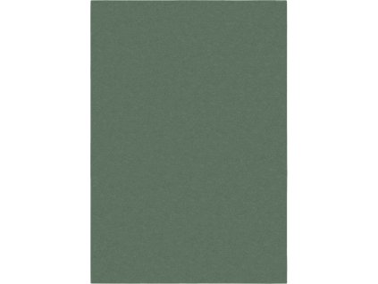 Kusový koberec Softie Lilypad (Rozměry koberců 80x150)