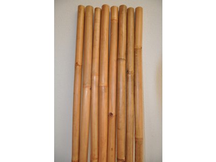 Bambusová tyč 5-6 cm, délka 2 metry - lakovaná medová