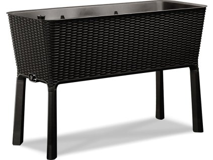 17194592 easy grow 6169 rgb grafit