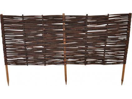 Plůtek vrbový výška 40 cm