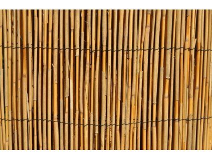 Plotová rohož rákos 180x500 cm