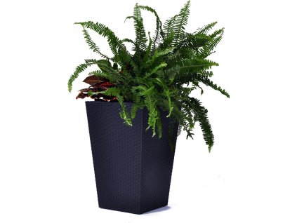 Rattan planter M - grafit