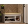 cabinet for shoes 100 white