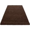 Kusový koberec Dream Shaggy 4000 brown (Rozměry koberců 80x150)