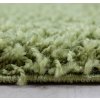 Kusový koberec Dream Shaggy 4000 green (Rozměry koberců 80x150)