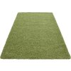 Kusový koberec Dream Shaggy 4000 green (Rozměry koberců 80x150)