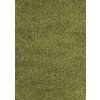 Kusový koberec Dream Shaggy 4000 green (Rozměry koberců 80x150)