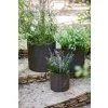 17197934 cylinder planters set s m l 6994 rgb 1
