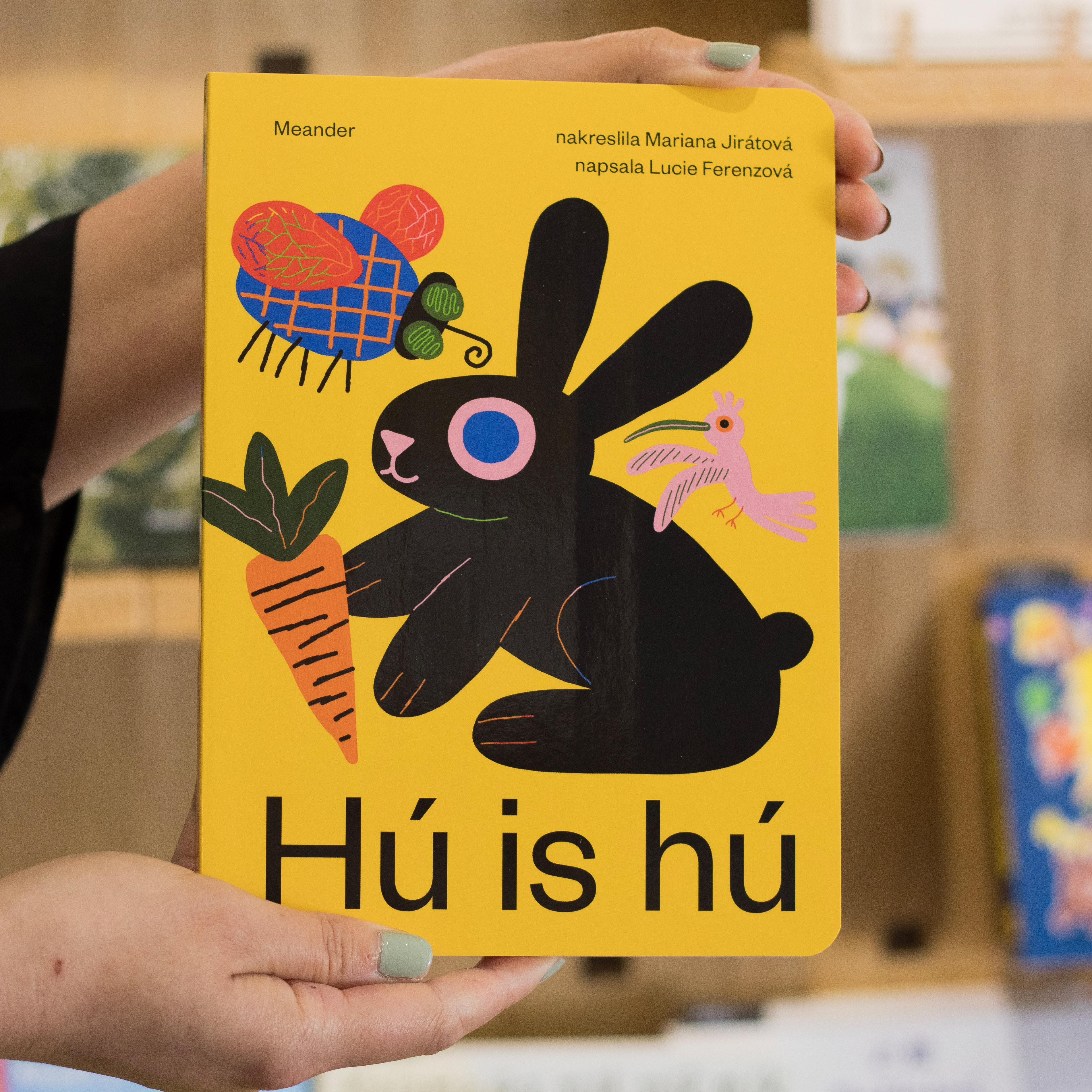 Jak vznikala kniha Hú is hú