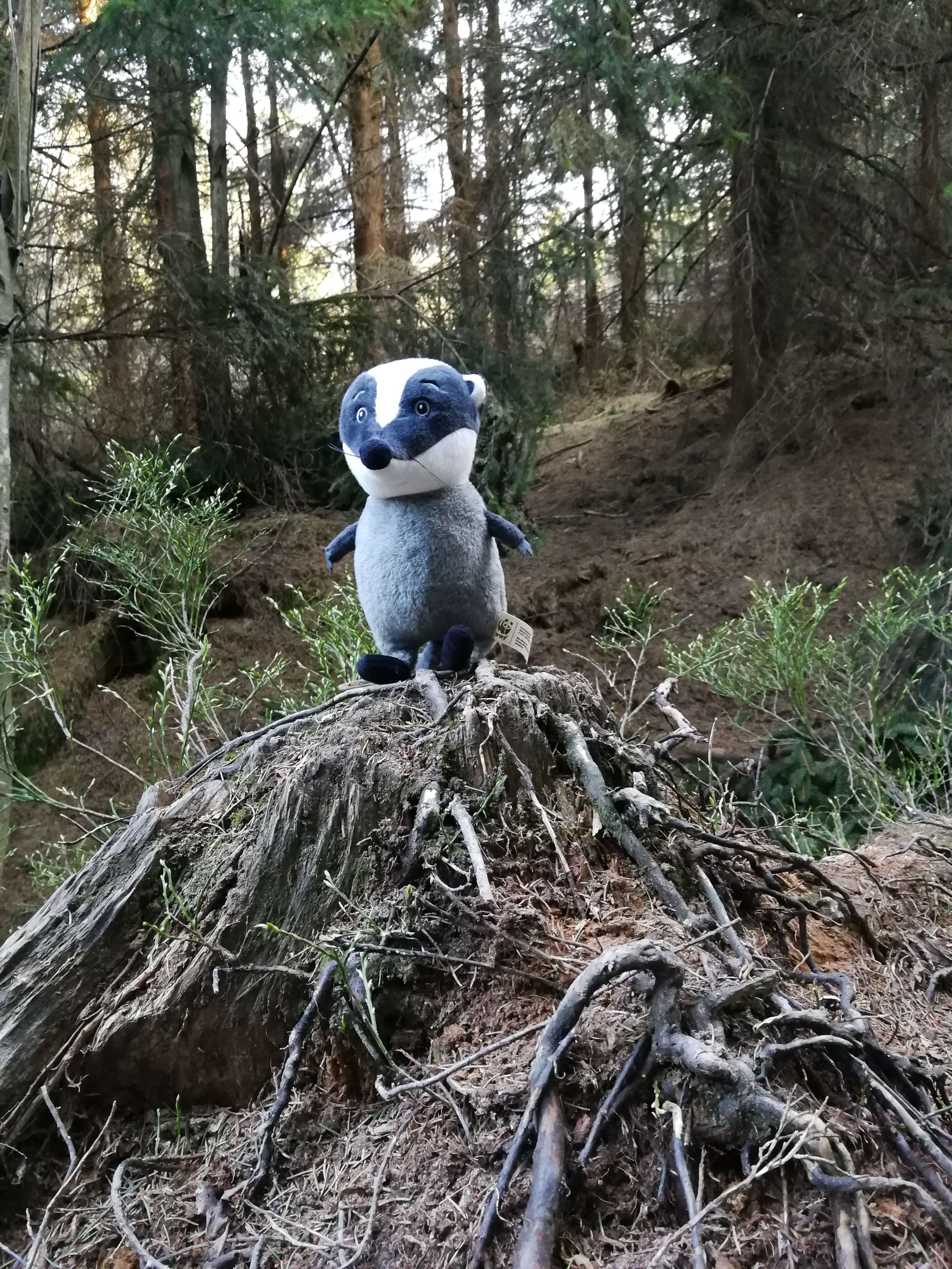 Plyšový Chrujda do každé rodiny!