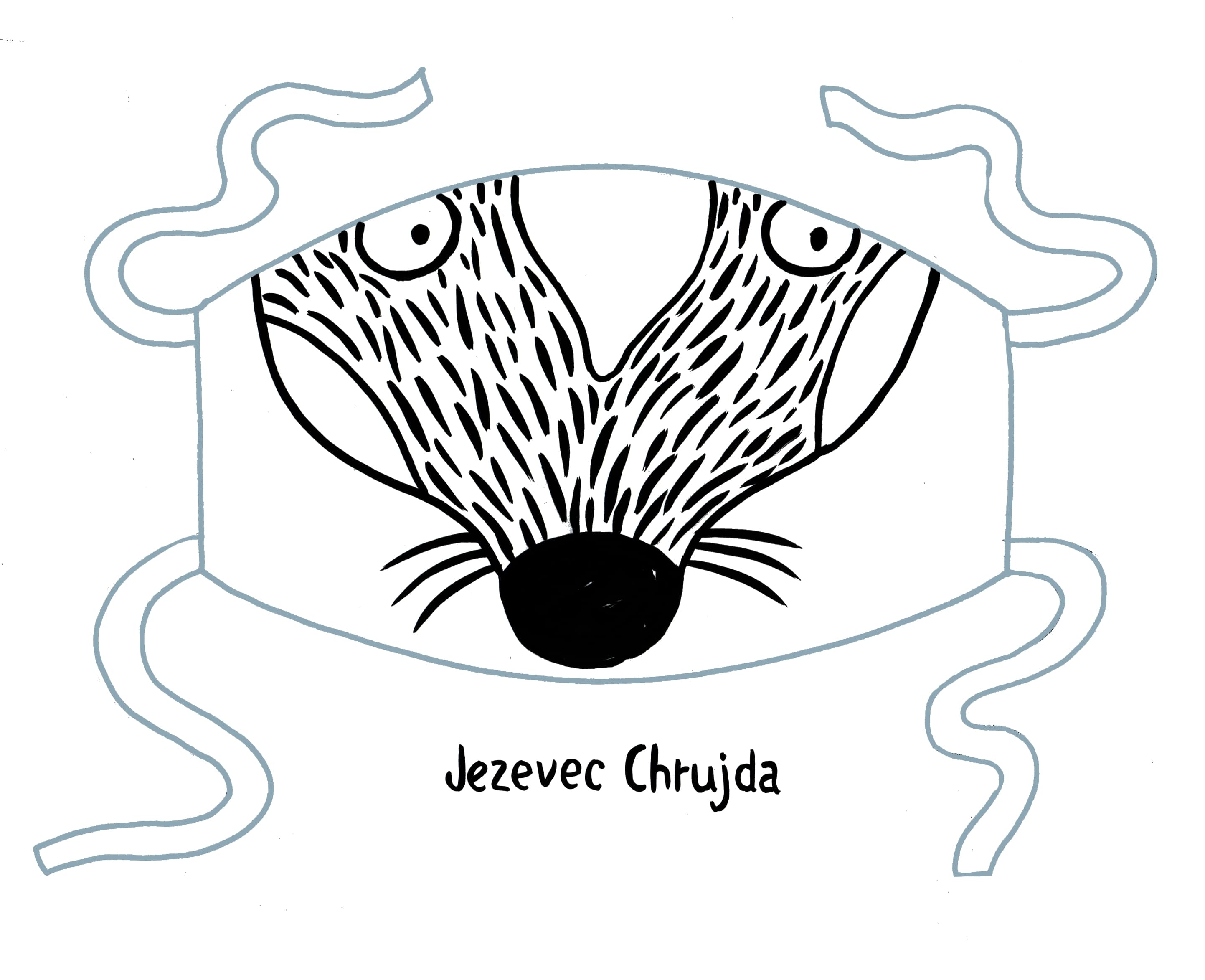 Udělej si Chrujdoroušky!