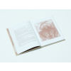 MEANDER 689