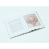 MEANDER 693