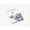 MEANDER 891