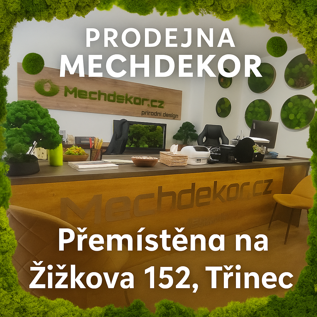 Showroom třinec