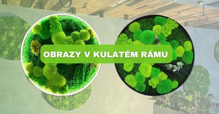 OBRAZY V KULATÉM RÁMU