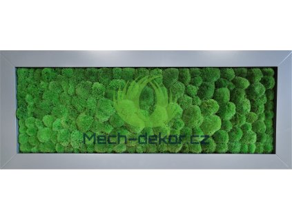 Mechový obraz kopec šedý hrubý rám