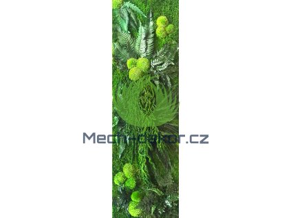 Nástěnný panel 108x34cm mix mechů a rostlin