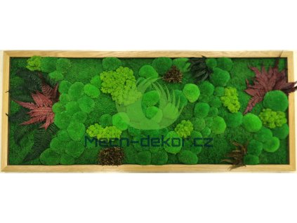 Mechový obraz 136x56cm světlý dub mix rostliny