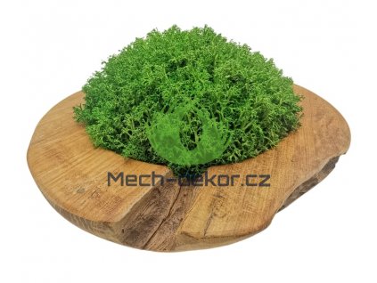 Teaková miska s kadeřavým mechem 20cm