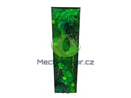 Mechový obraz 180 x 50 cm - kombinace mechů a stabilizovaných rostlin v tenkém antracitovém hliníkovém rámu