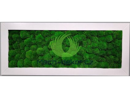 Mechový obraz kopec bílý hrubý rám 136x56cm