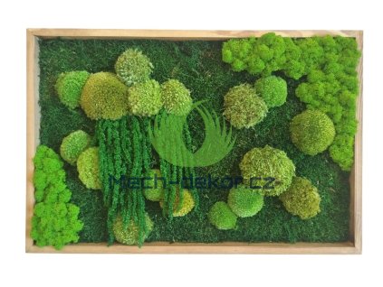 Obraz 60x40cm dub amarant