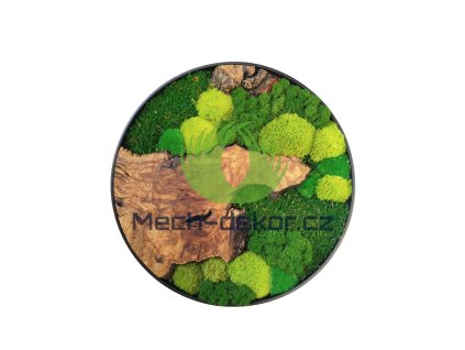 Photoroom 20251104 104830