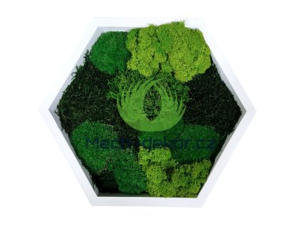 Mechový bílý hexagon 30cm mix mechů