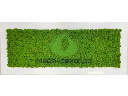 Mechový obraz z masivu 136x56cm široký bílý dřevěný rám – Sobí mech (Spring Green)
